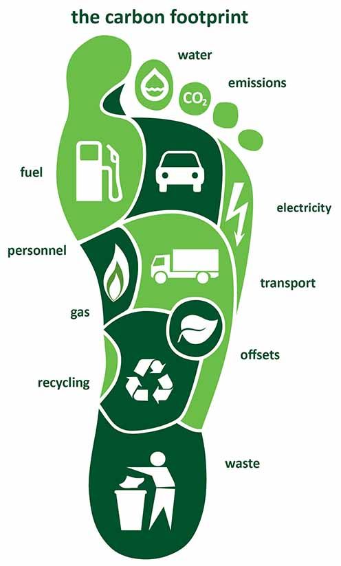 Footprint separated into what makes up a carbon footprint